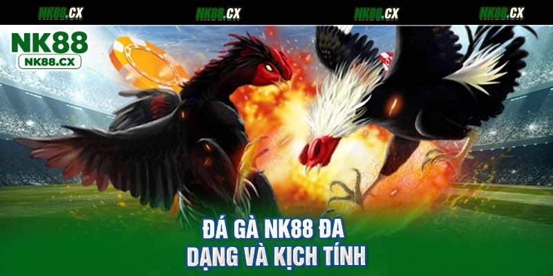 Đá gà NK88 đa dạng và kịch tính