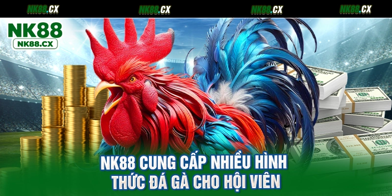 NK88 cung cấp nhiều hình thức đá gà cho hội viên