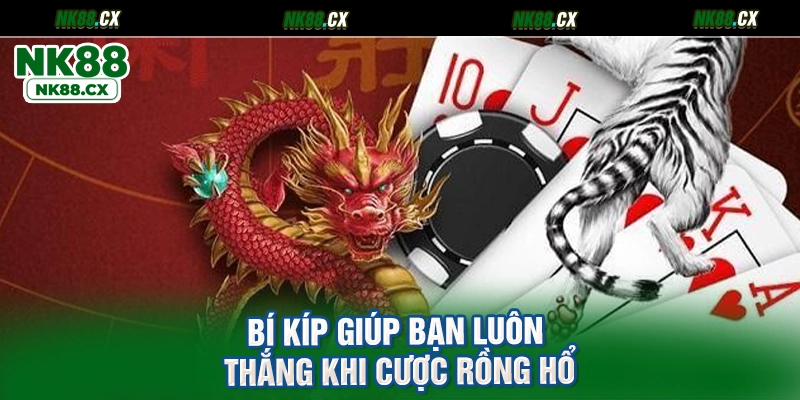 Bí kíp giúp bạn luôn thắng khi cược Rồng hổ