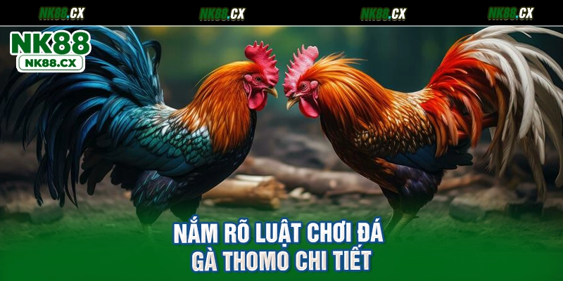 Nắm rõ luật chơi đá gà Thomo chi tiết