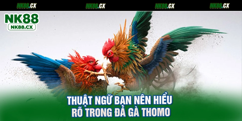 Thuật ngữ bạn nên hiểu rõ trong đá gà Thomo